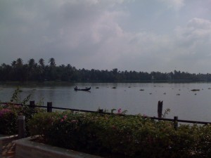 Kumbalam backwaters